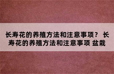 长寿花的养殖方法和注意事项？ 长寿花的养殖方法和注意事项 盆栽